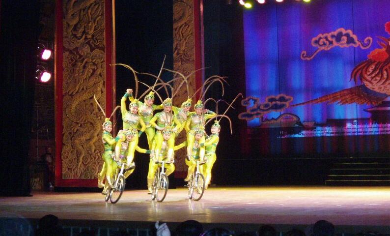  年會(huì)節(jié)目_轉(zhuǎn)花蝶